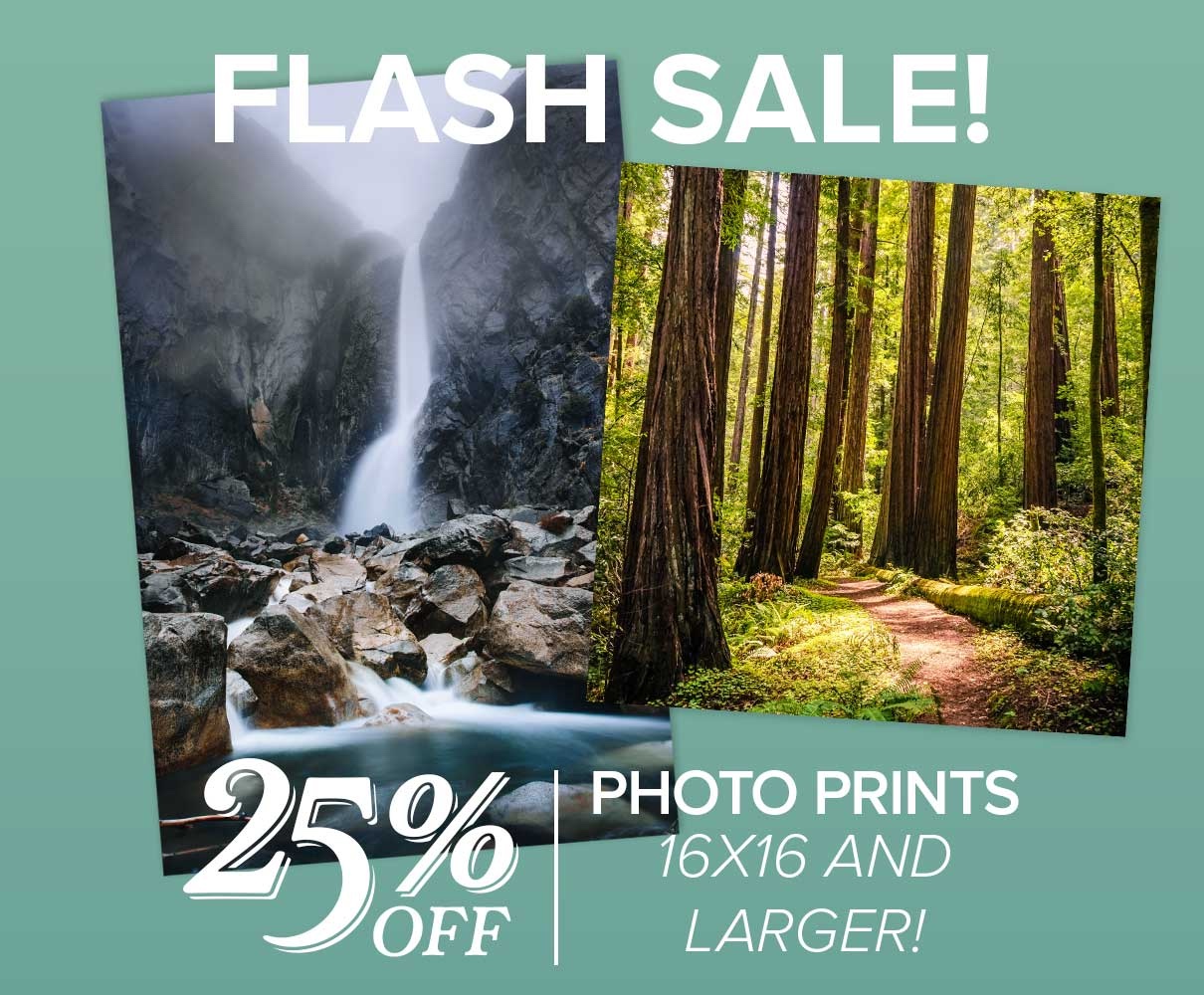 Large Size Prints