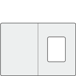 CE31v