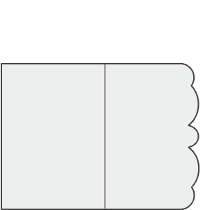 CE35v