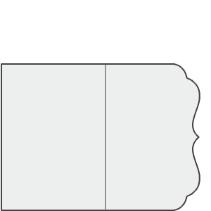 CE36v