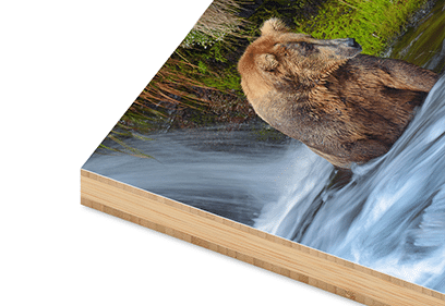 Bamboo Standouts