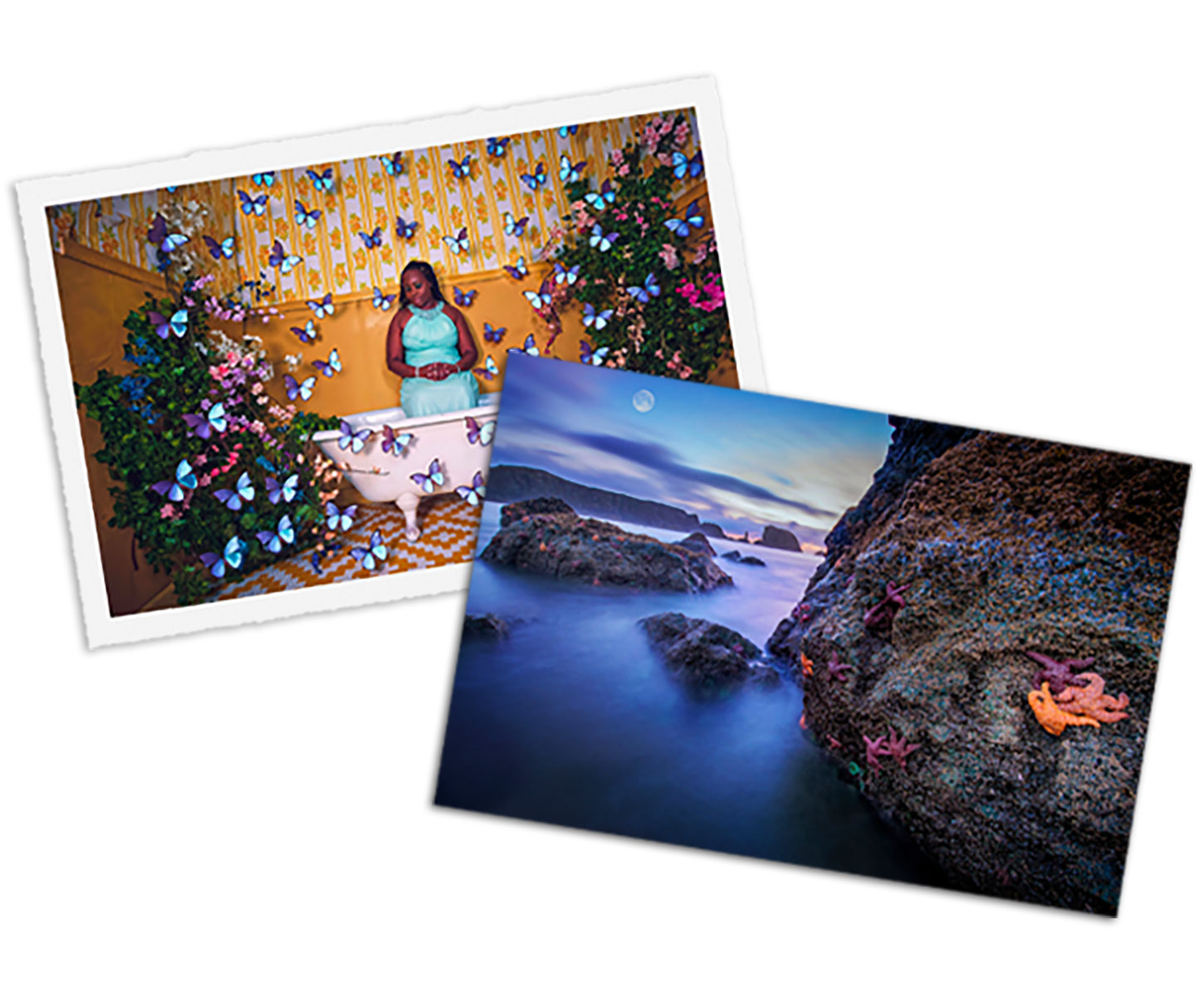 Various Fine Art Prints