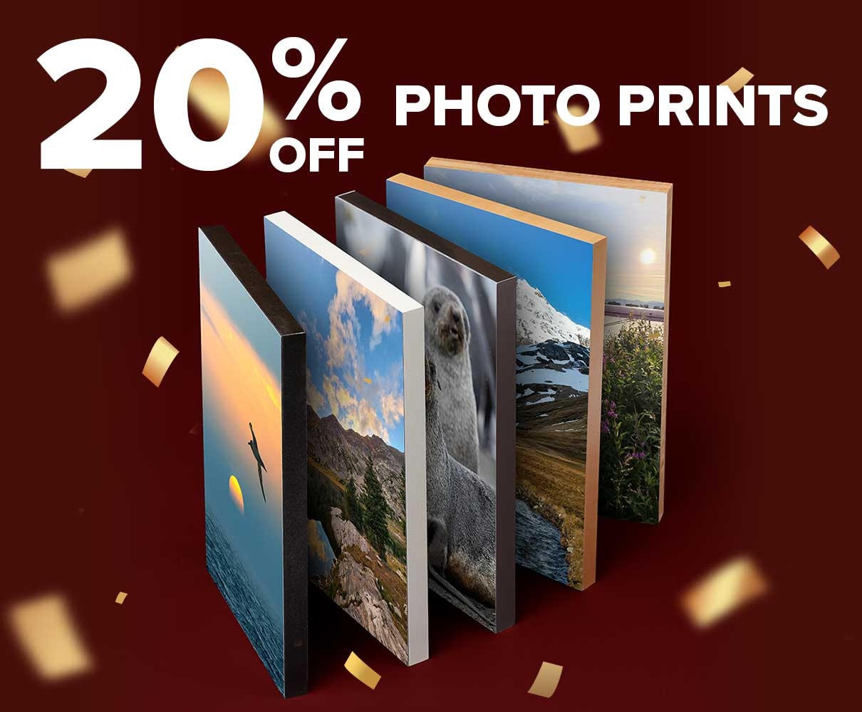 20% Off Photo Prints